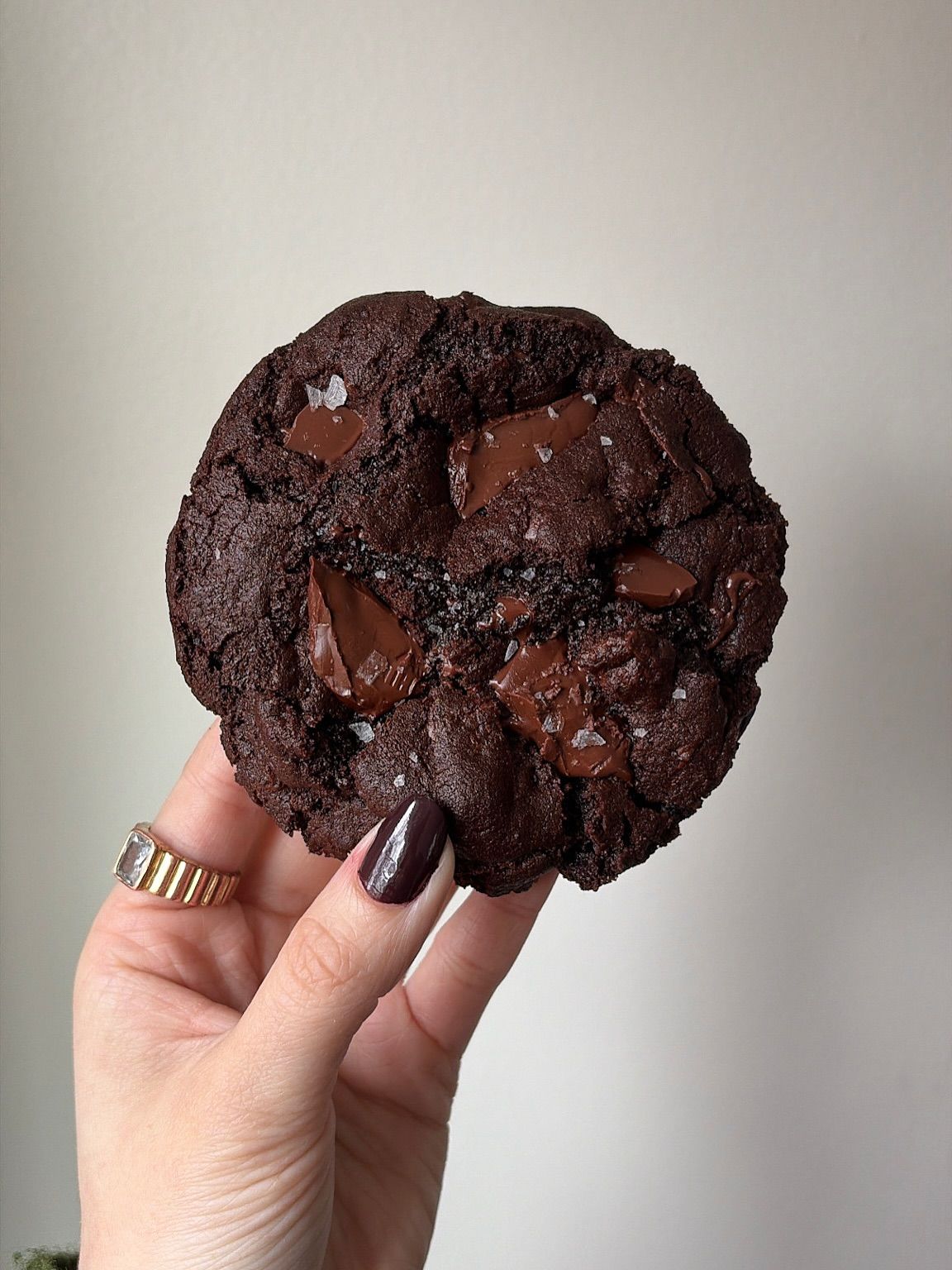 Double Chocolate Cookies